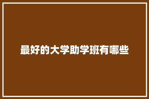 最好的大学助学班有哪些