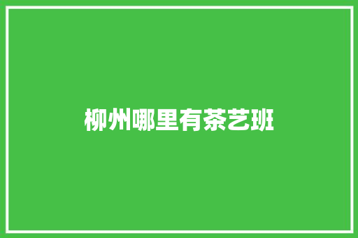 柳州哪里有茶艺班
