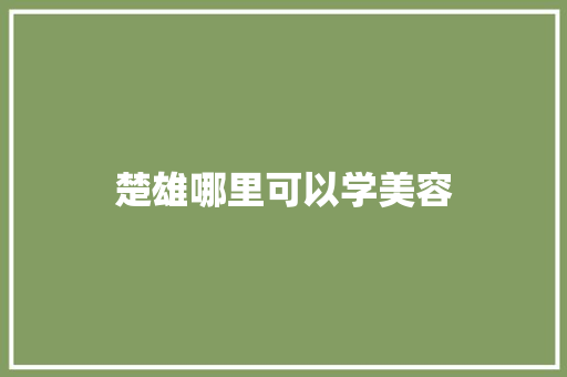 楚雄哪里可以学美容