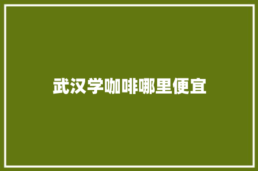 武汉学咖啡哪里便宜