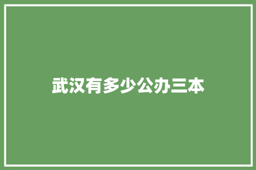 武汉有多少公办三本