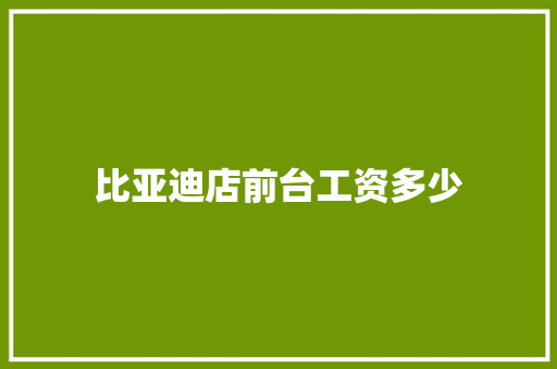 比亚迪店前台工资多少