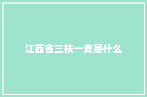 江西省三扶一支是什么
