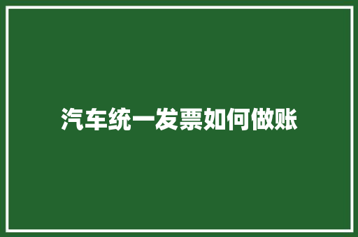 汽车统一发票如何做账