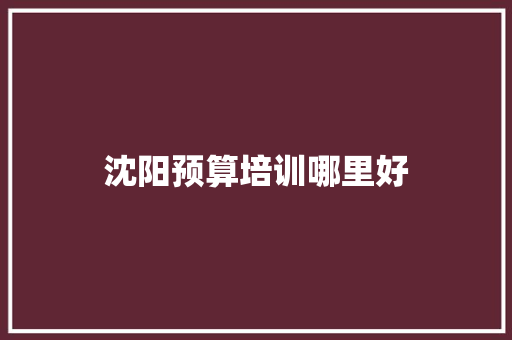 沈阳预算培训哪里好