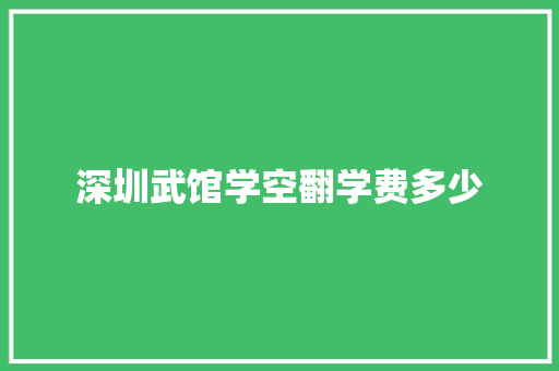 深圳武馆学空翻学费多少