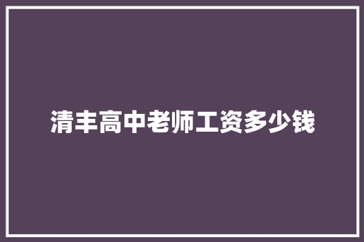 清丰高中老师工资多少钱