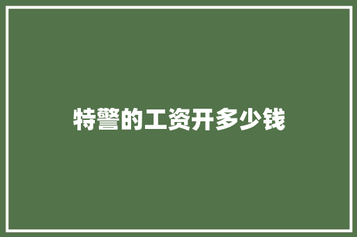 特警的工资开多少钱