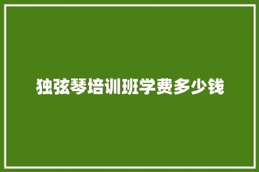 独弦琴培训班学费多少钱