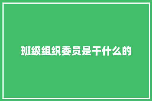 班级组织委员是干什么的