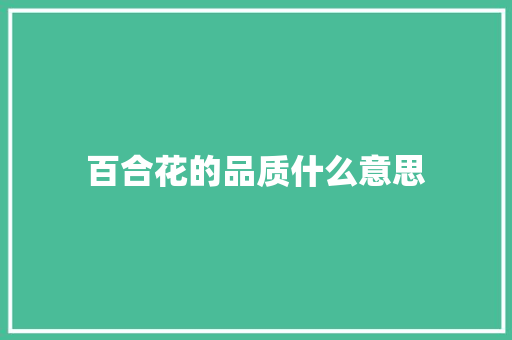 百合花的品质什么意思