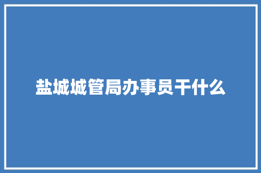 盐城城管局办事员干什么
