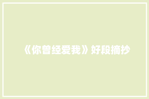 《你曾经爱我》好段摘抄