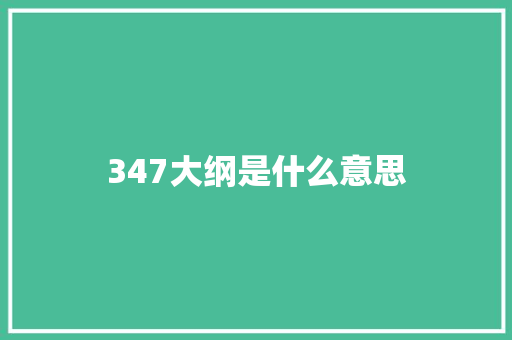 347大纲是什么意思