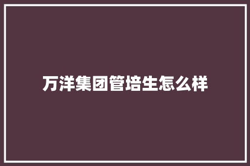 万洋集团管培生怎么样