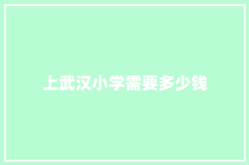 上武汉小学需要多少钱