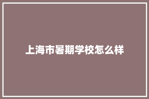 上海市暑期学校怎么样