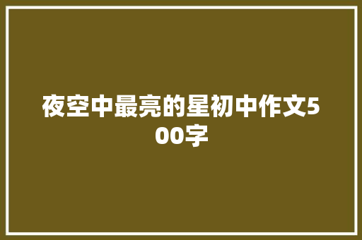 夜空中最亮的星初中作文500字