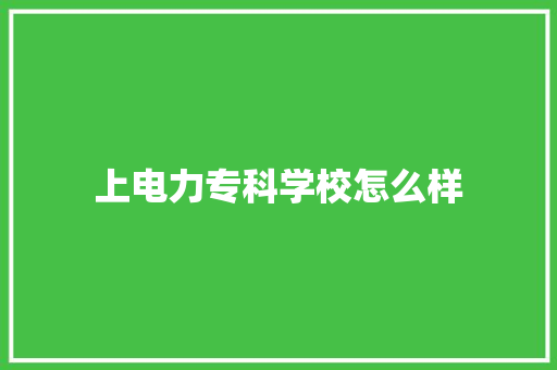 上电力专科学校怎么样 简历模板
