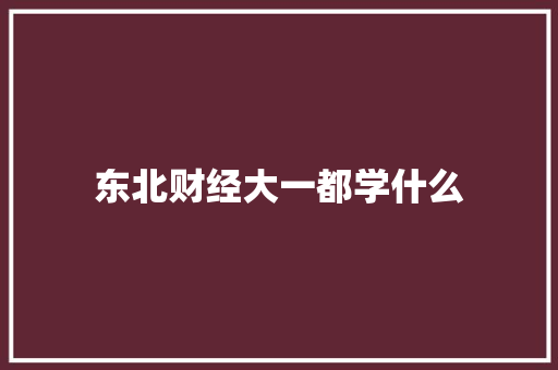 东北财经大一都学什么 报告写作