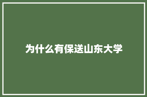 为什么有保送山东大学