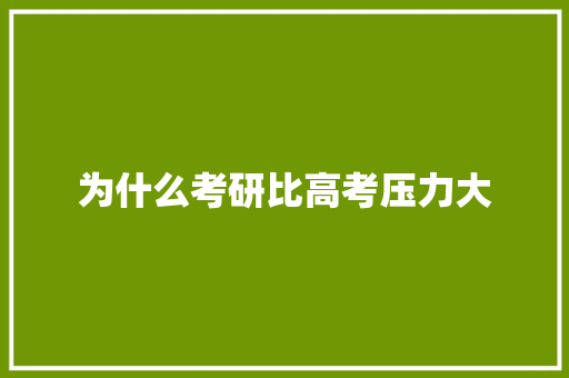 为什么考研比高考压力大 报告写作