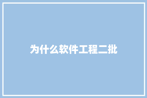 为什么软件工程二批 写作素材