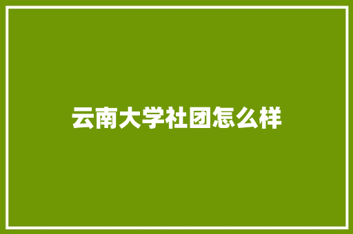 云南大学社团怎么样