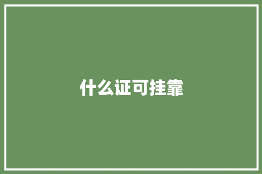 什么证可挂靠
