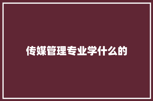 传媒管理专业学什么的 范文赏析
