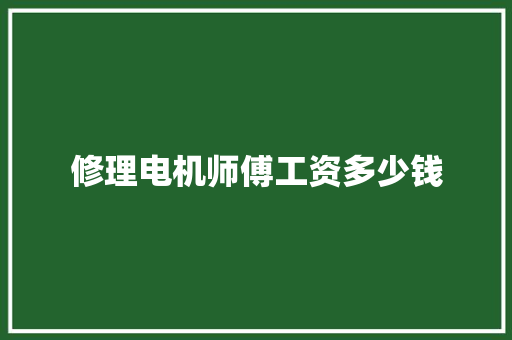修理电机师傅工资多少钱
