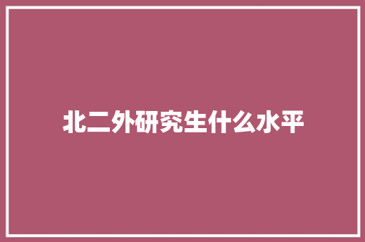北二外研究生什么水平