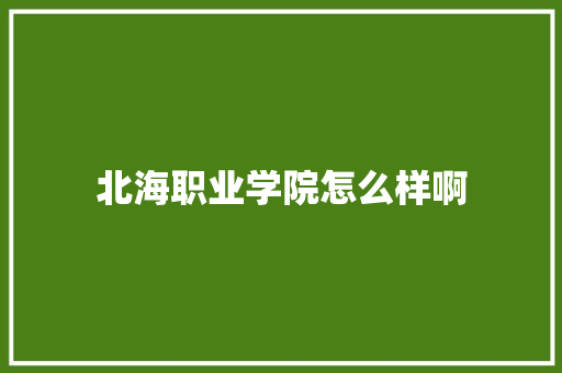 北海职业学院怎么样啊