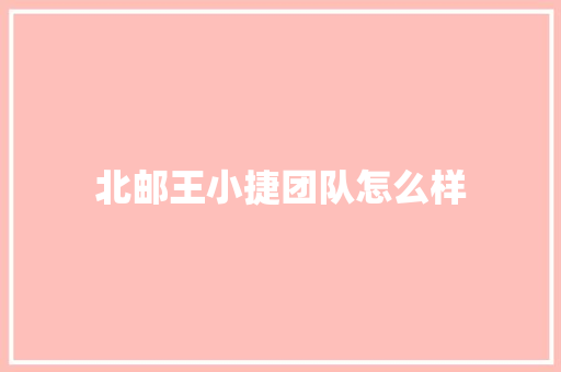 北邮王小捷团队怎么样