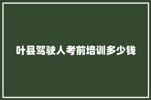 叶县驾驶人考前培训多少钱