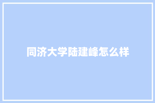 同济大学陆建峰怎么样