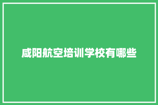 咸阳航空培训学校有哪些