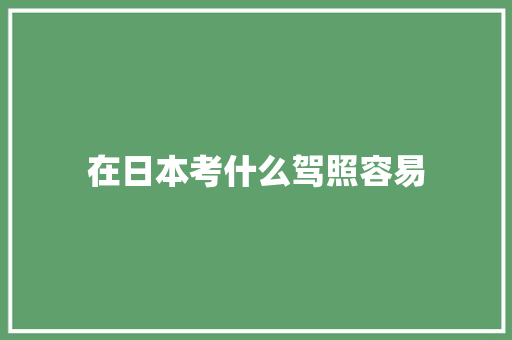 在日本考什么驾照容易