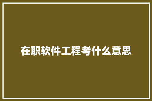 在职软件工程考什么意思