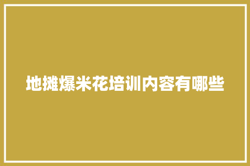 地摊爆米花培训内容有哪些
