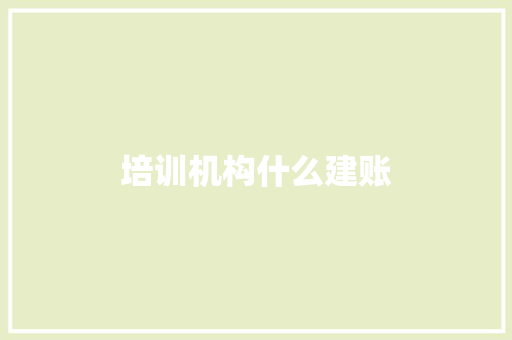 培训机构什么建账