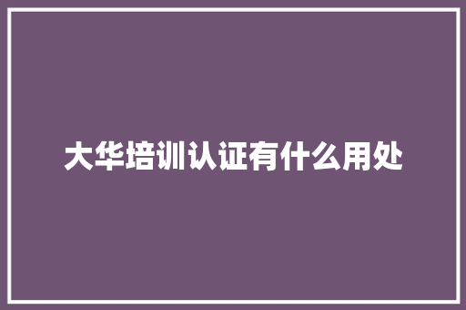 大华培训认证有什么用处