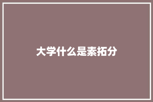 大学什么是素拓分 写作素材
