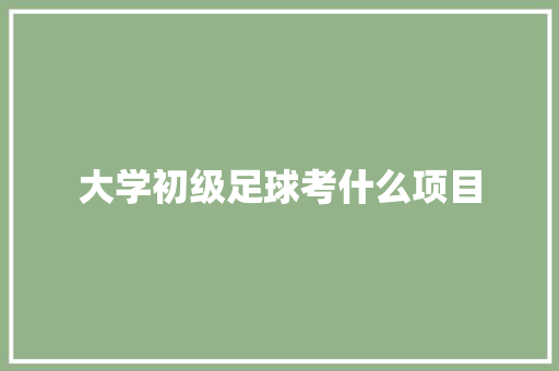 大学初级足球考什么项目 写作素材