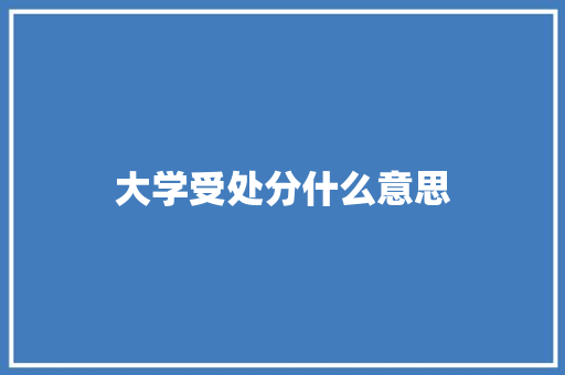 大学受处分什么意思