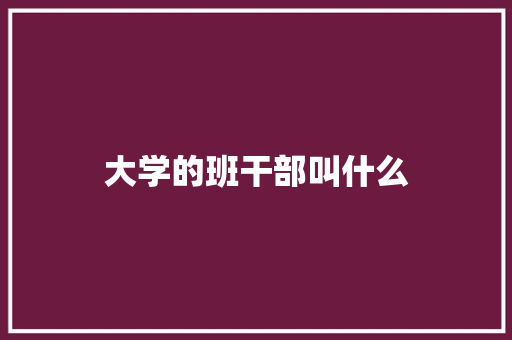 大学的班干部叫什么