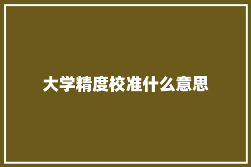 大学精度校准什么意思