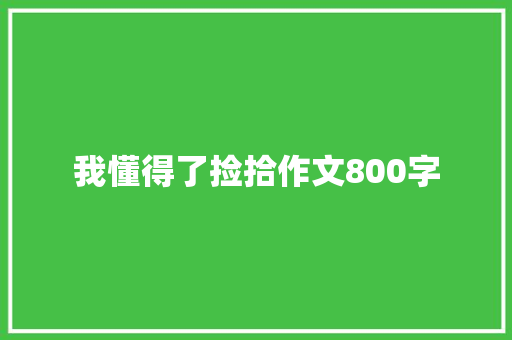 我懂得了捡拾作文800字 报告写作