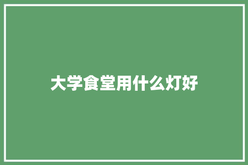 大学食堂用什么灯好