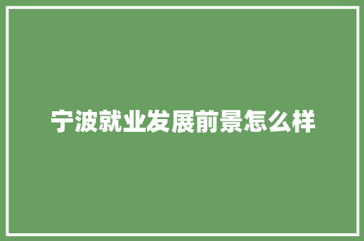 宁波就业发展前景怎么样